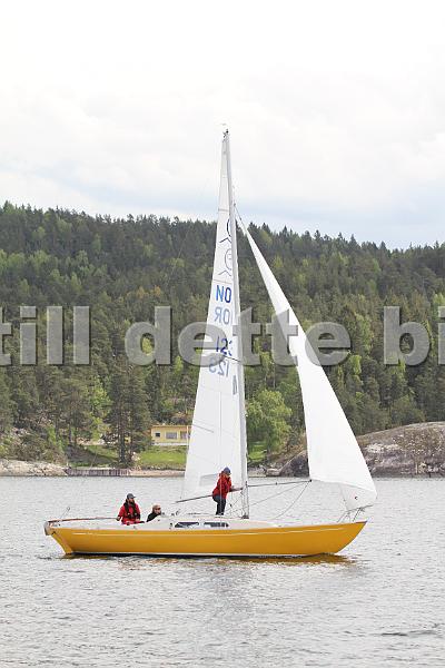 Bundefjorden2012 291.jpg